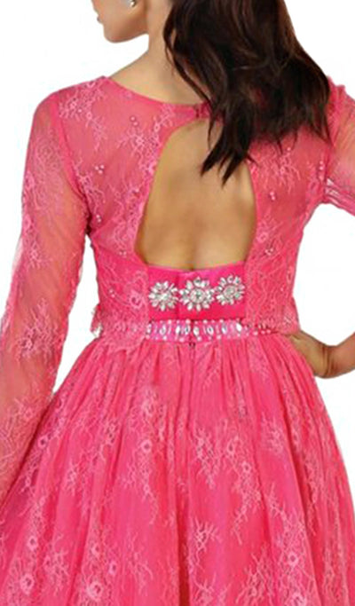 May Queen - MQ1490 Sheer Long Sleeve A-line Cocktail Dress In Pink