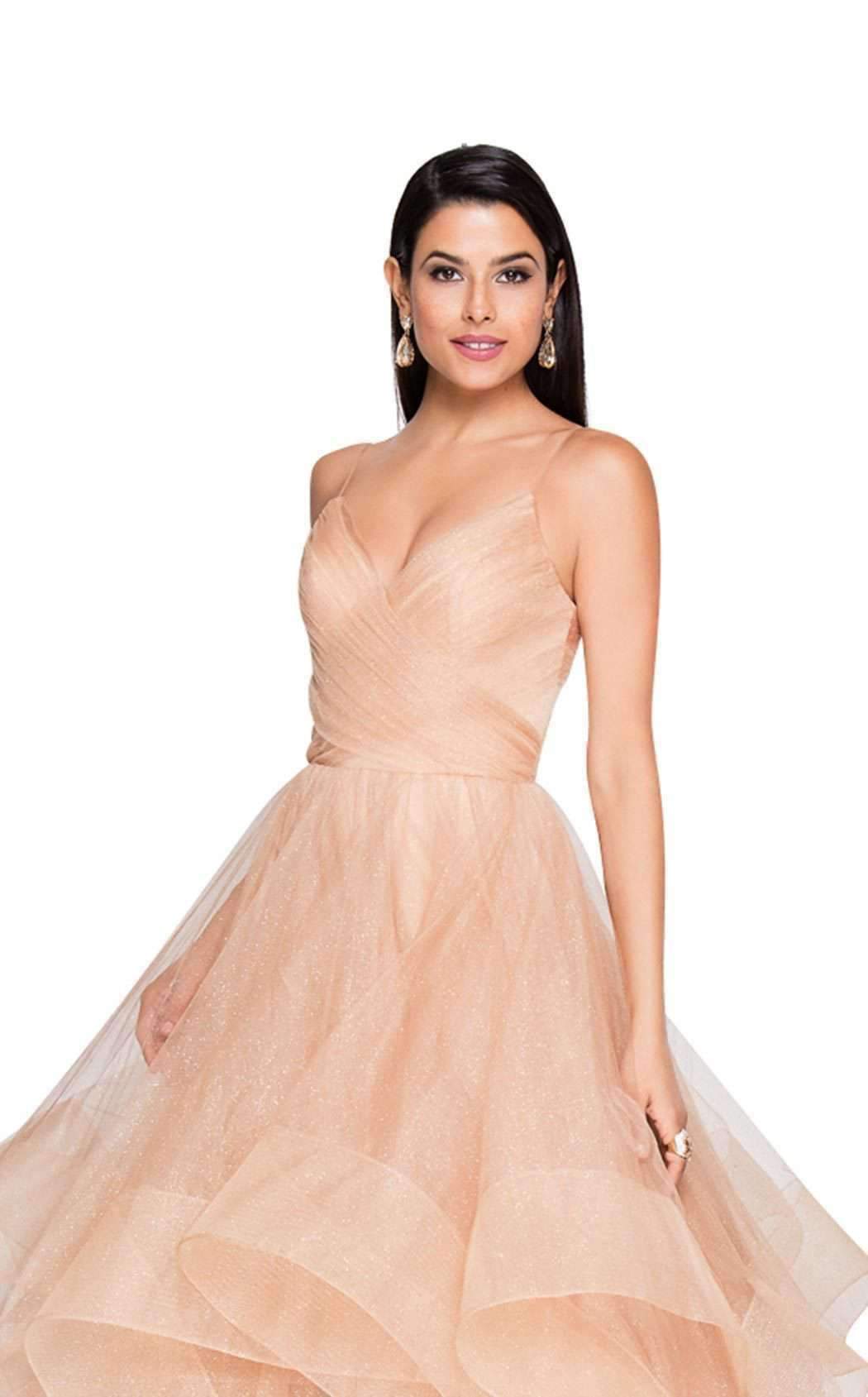 Terani Couture - 1811P5849 Sleeveless Glitter Tulle Ruffled Gown In Neutral
