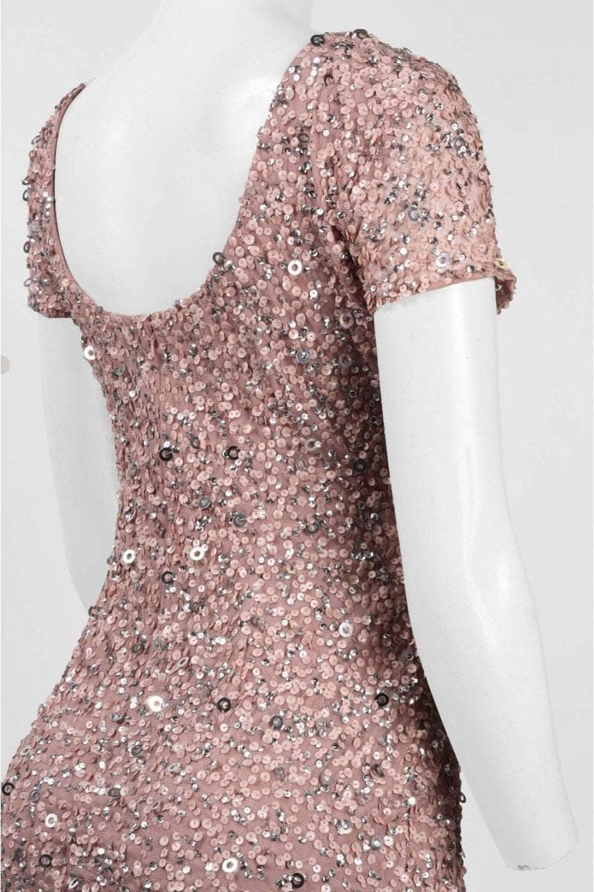 Adrianna Papell 41900220 - Knee-Length Sheath Dress - Short Sleeves, Sequins, Scoop Open Back, Mesh, Knee Length ADASA Adrianna Papell 41900220 - Knee-Length Sheath Dress - Short Sleeves, Sequins, Scoop Open Back, Mesh, Knee Length ADASA