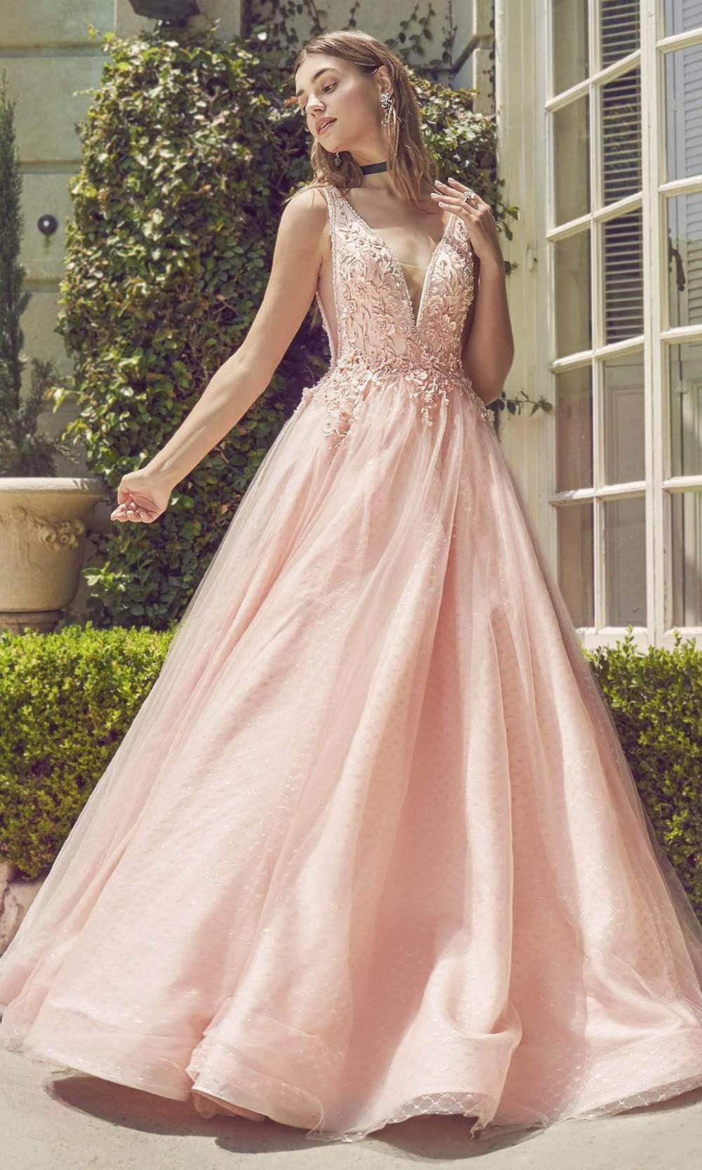 Andrea and Leo - A0696 Floral Appliqued Beaded V Cut Bodice Ballgown Special Occasion Dress 2 / Blush