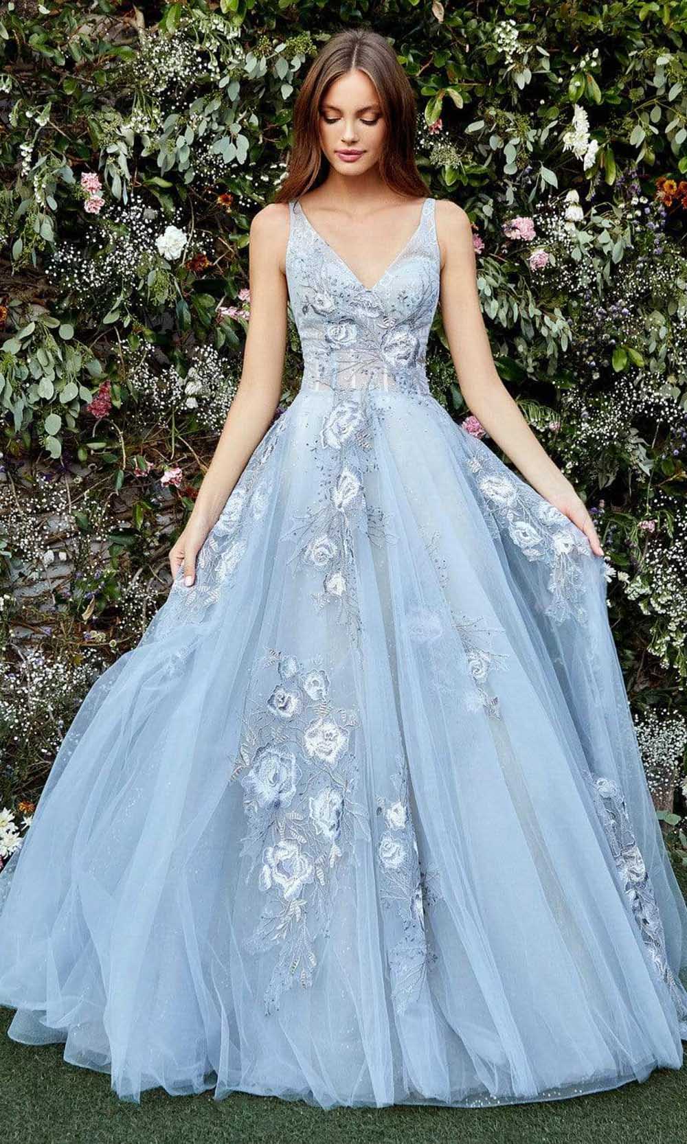 Andrea and Leo - Embroidery-Detailed A-Line Gown A0893SC In Blue