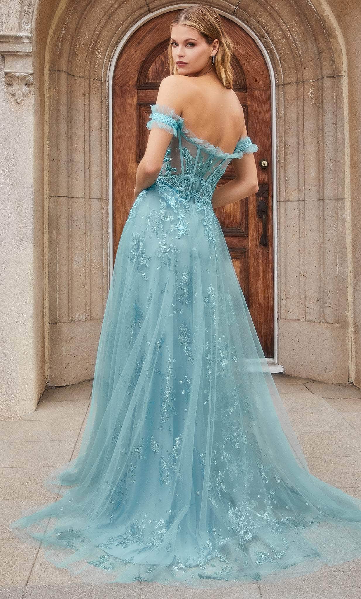 Andrea and Leo A1154 - A-line Tulle Off Shoulder Dress Special Occasion Dress