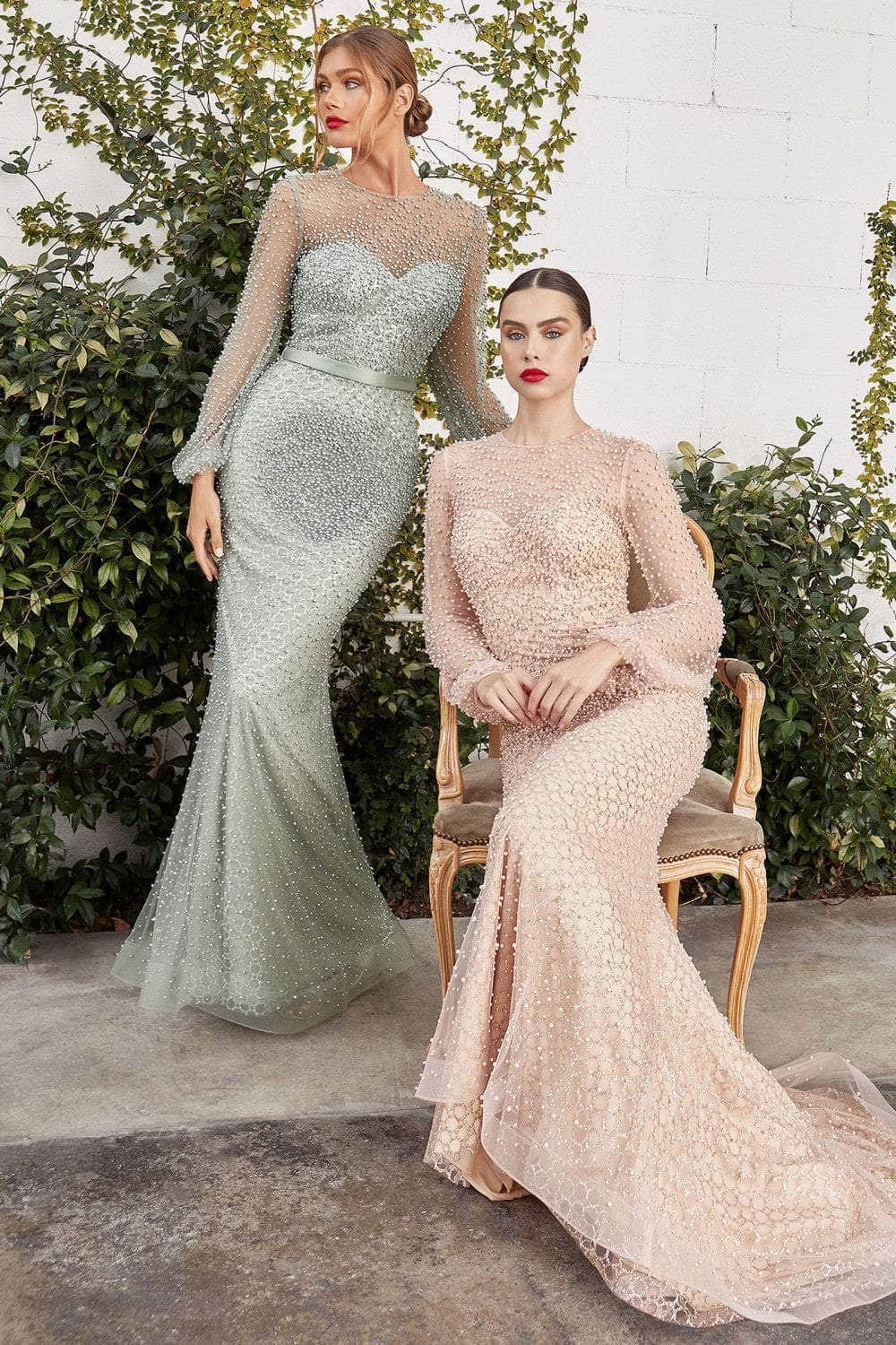 Andrea and Leo - Beaded Illusion Scoop Evening Gown A0997 CCSALE