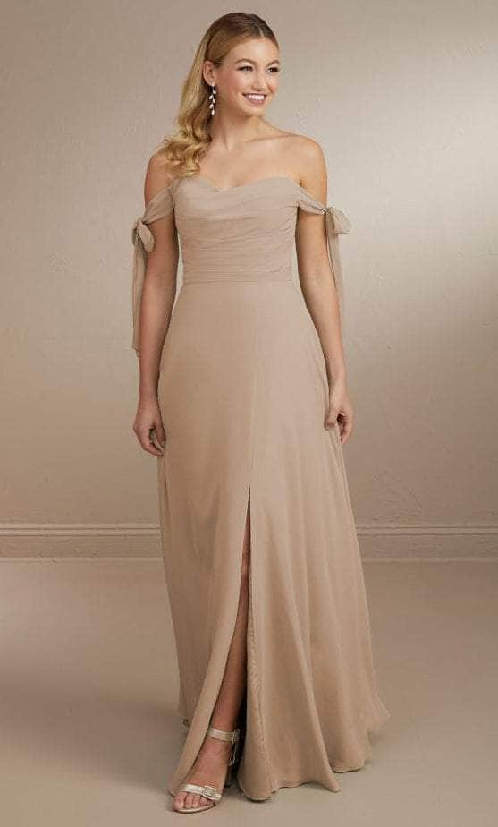 Christina Wu Celebration 22162 - Long Chiffon Gown Special Occasion Dress