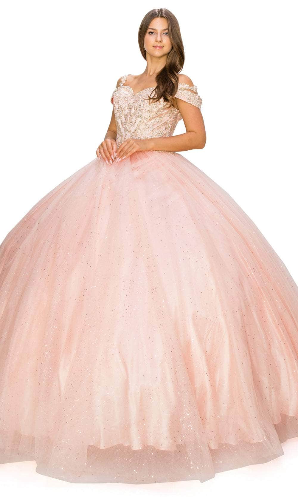 Cinderella Couture 8028J - Gold Embroidered Ballgown Special Occasion Dress