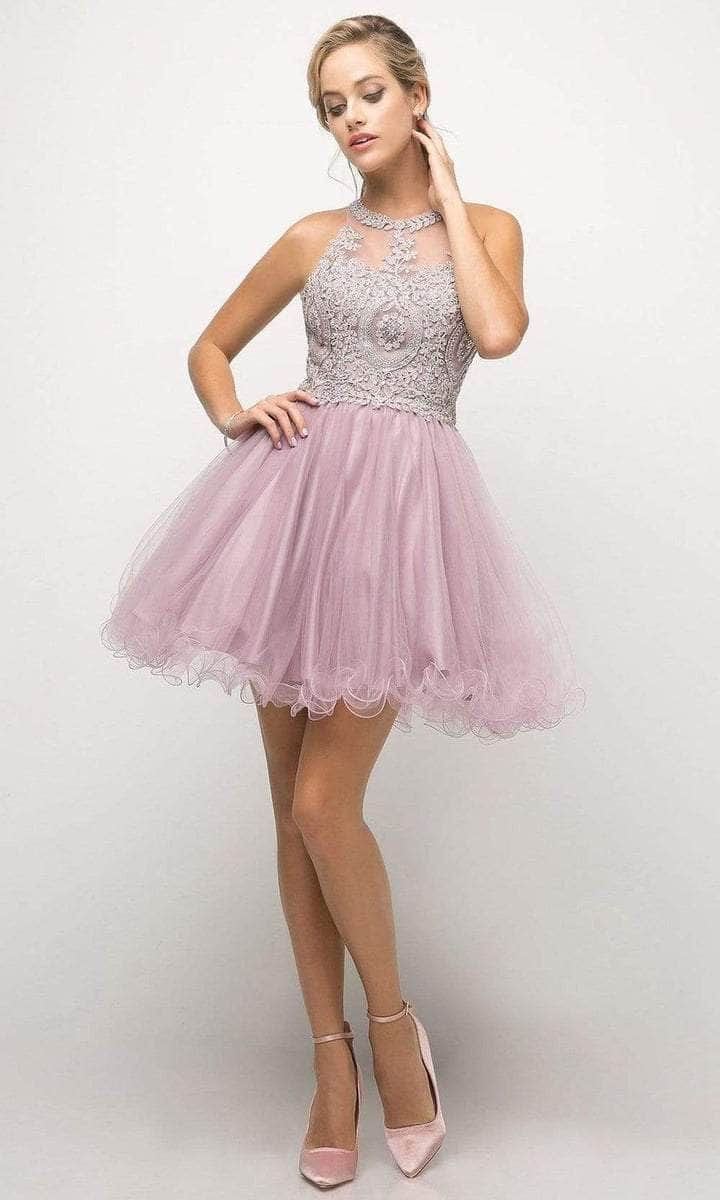 Cinderella Divine Beaded Lace Appliqued Jewel A-Line Cocktail Dress CCSALE M / Mauve