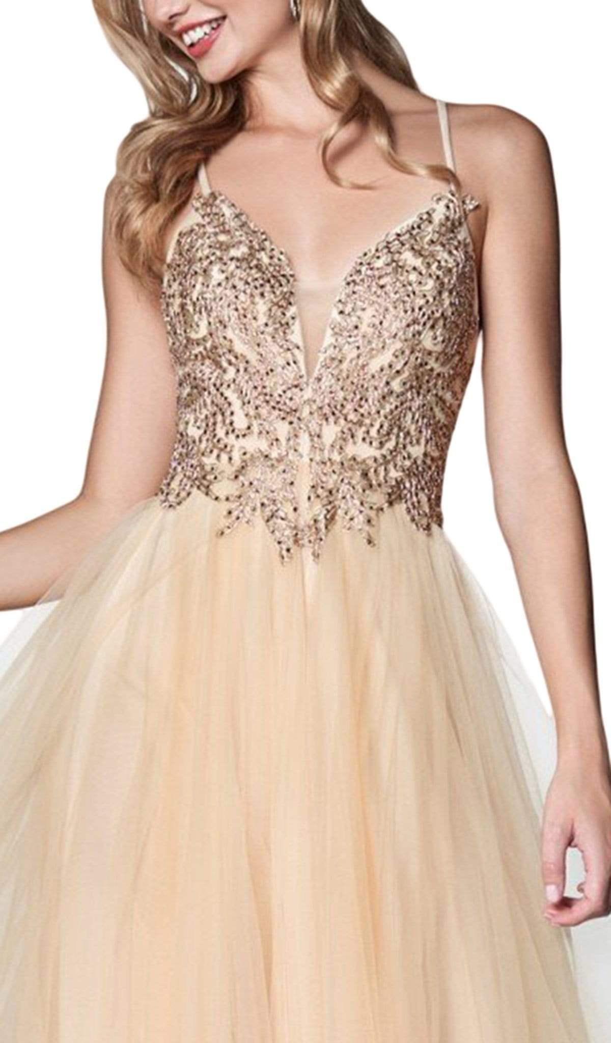 Cinderella Divine - CD0128 Applique Detailed Bodice Tulle A-Line Gown Special Occasion Dress