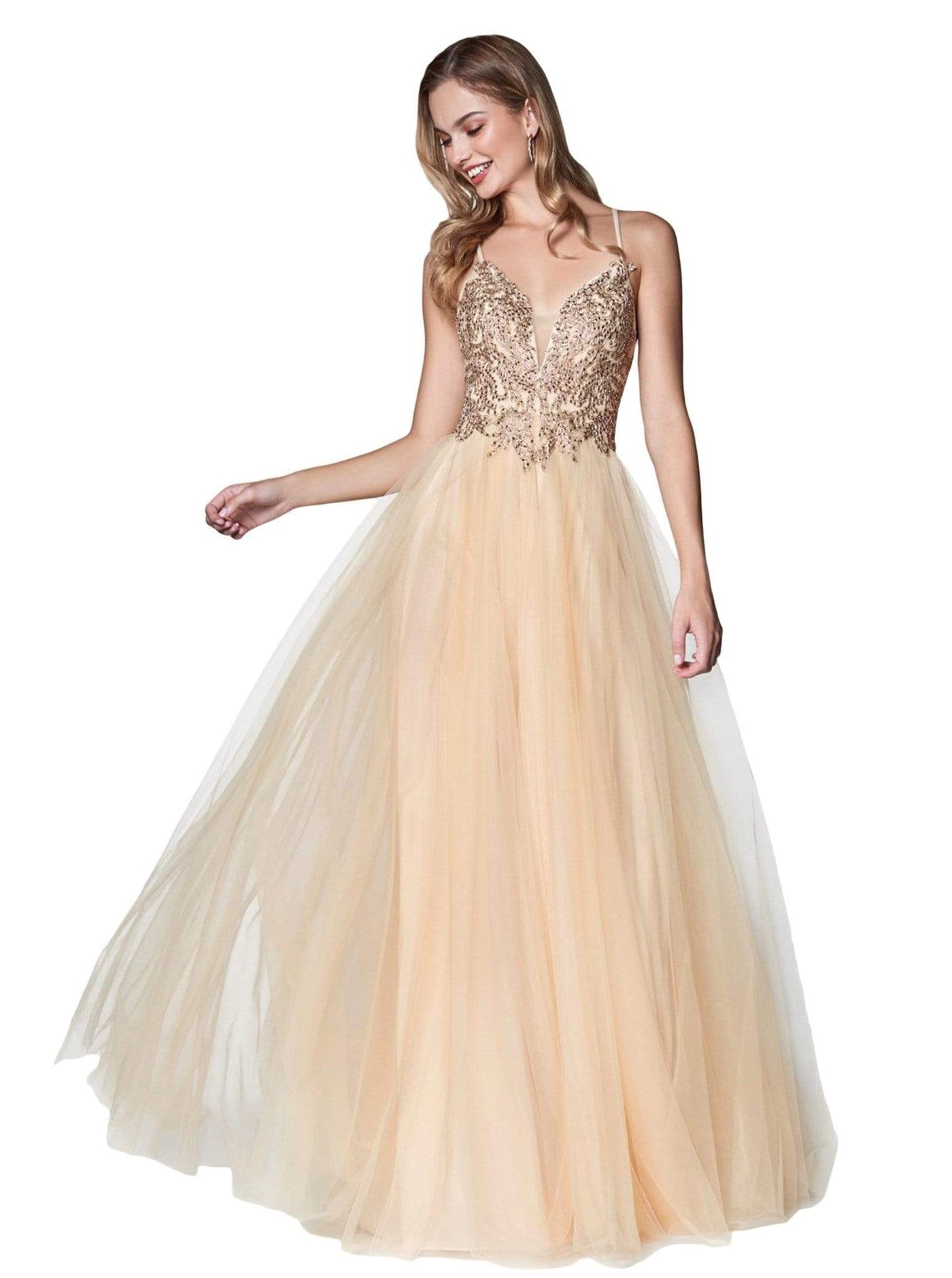 Cinderella Divine - CD0128 Applique Detailed Bodice Tulle A-Line Gown Special Occasion Dress XS / Champagne
