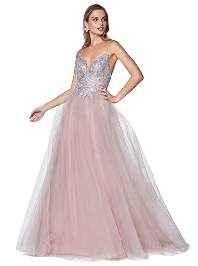 Cinderella Divine - CD0128 Applique Detailed Bodice Tulle A-Line Gown Special Occasion Dress XS / Mauve