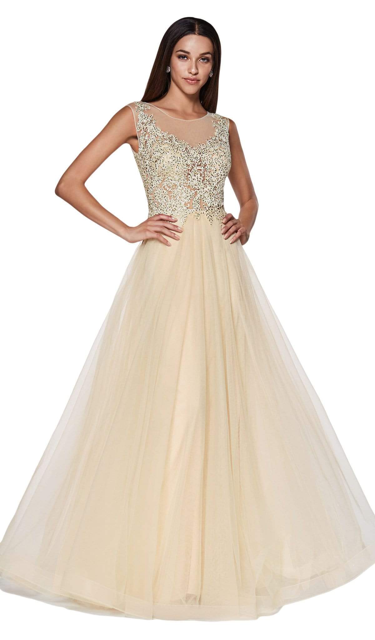 Cinderella Divine - CD0136 Beaded Lace Illusion Neckline Tulle Gown Special Occasion Dress XS / Champagne