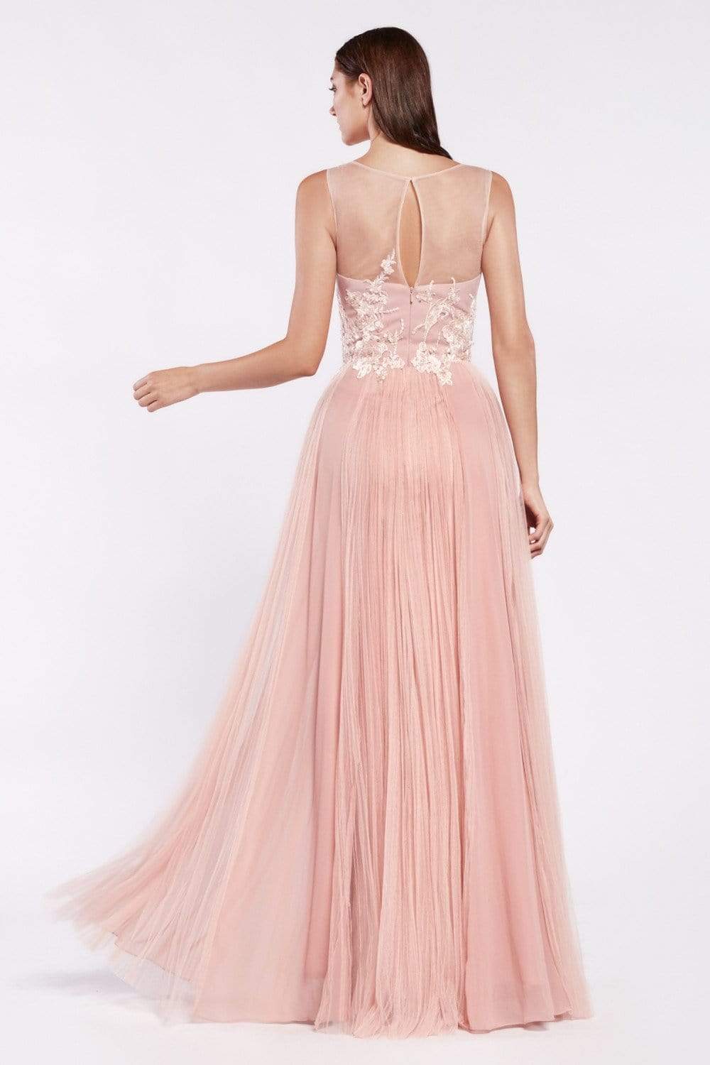 Cinderella Divine - CJ528 Lace V-neck Tulle A-line Gown Evening Dresses