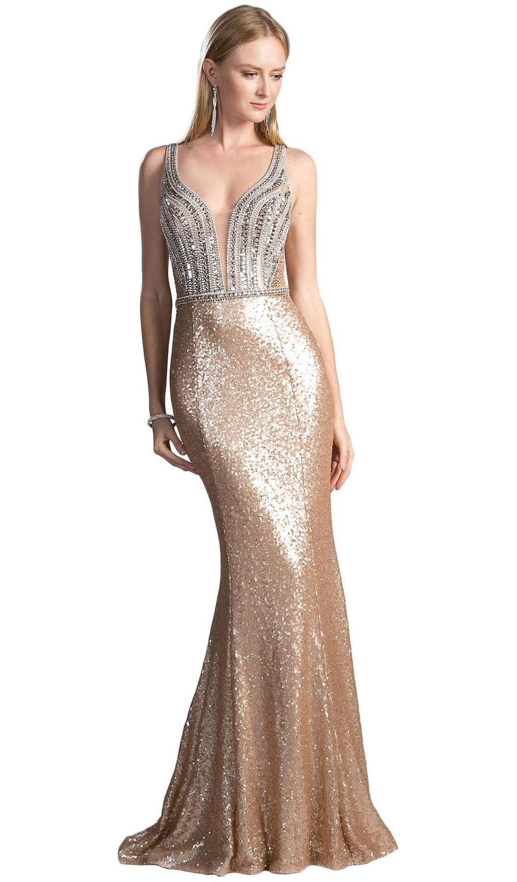 Cinderella Divine - Embellished Sheer Back Evening Dress CR810 CCSALE 10 / Silver