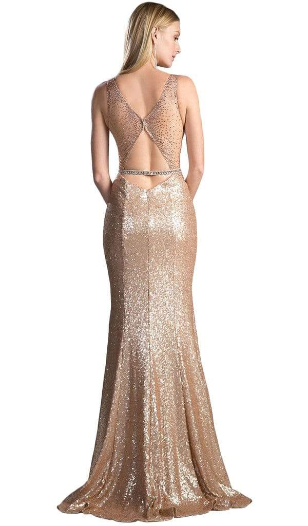 Cinderella Divine - Embellished Sheer Back Evening Dress CR810 CCSALE 10 / Silver