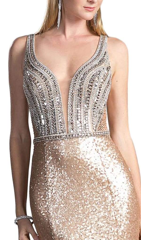 Cinderella Divine - Embellished Sheer Back Evening Dress CR810 CCSALE 10 / Silver