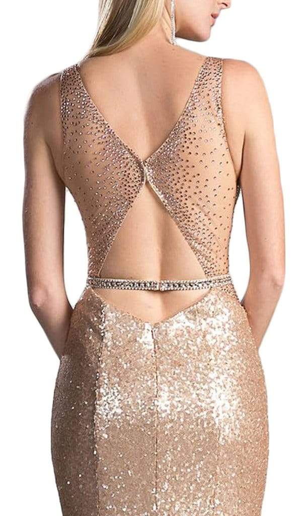Cinderella Divine - Embellished Sheer Back Evening Dress CR810 CCSALE 10 / Silver