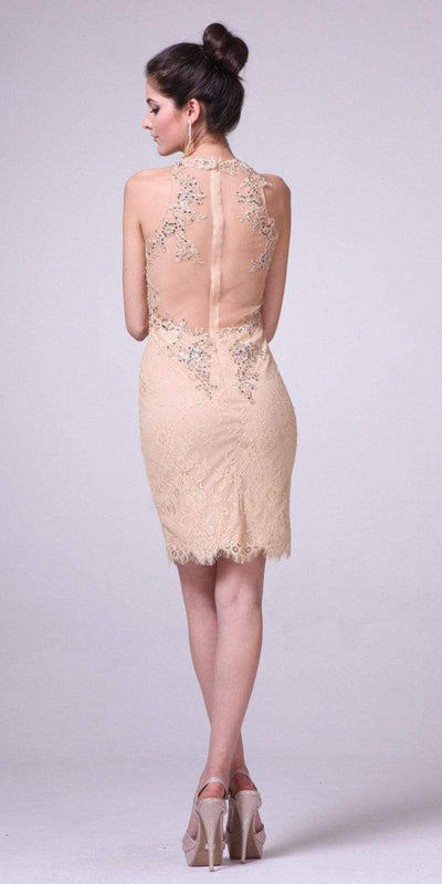 Cinderella Divine - JC3455 Sequined Lace Illusion Halter Sheath Dress Special Occasion Dress