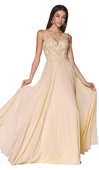 Cinderella Divine - UJ0123 Long Beaded Lace Chiffon A-Line Dress Prom Dresses XXS / Champagne