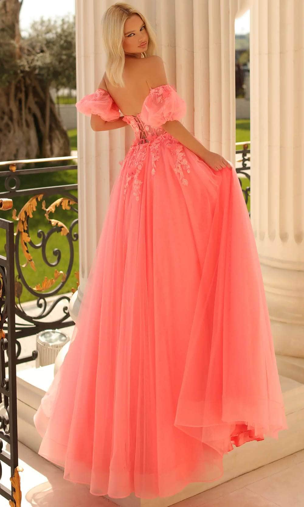Clarisse 810721 - Applique Corset Prom Gown Special Occasion Dress