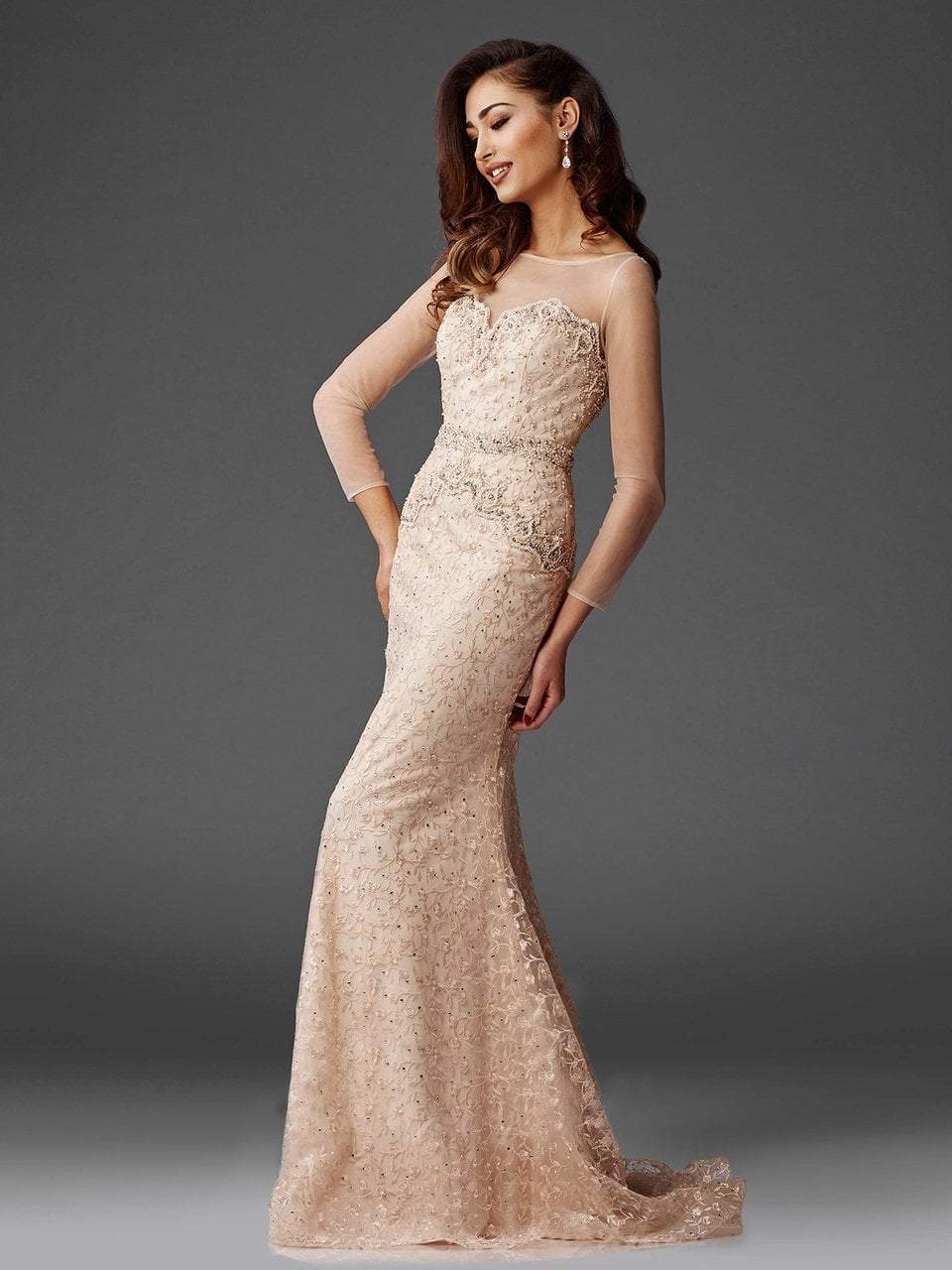 Clarisse - Illusion Long Sleeve Embroidered Lace Gown M6427 CCSALE 12 / Champagne