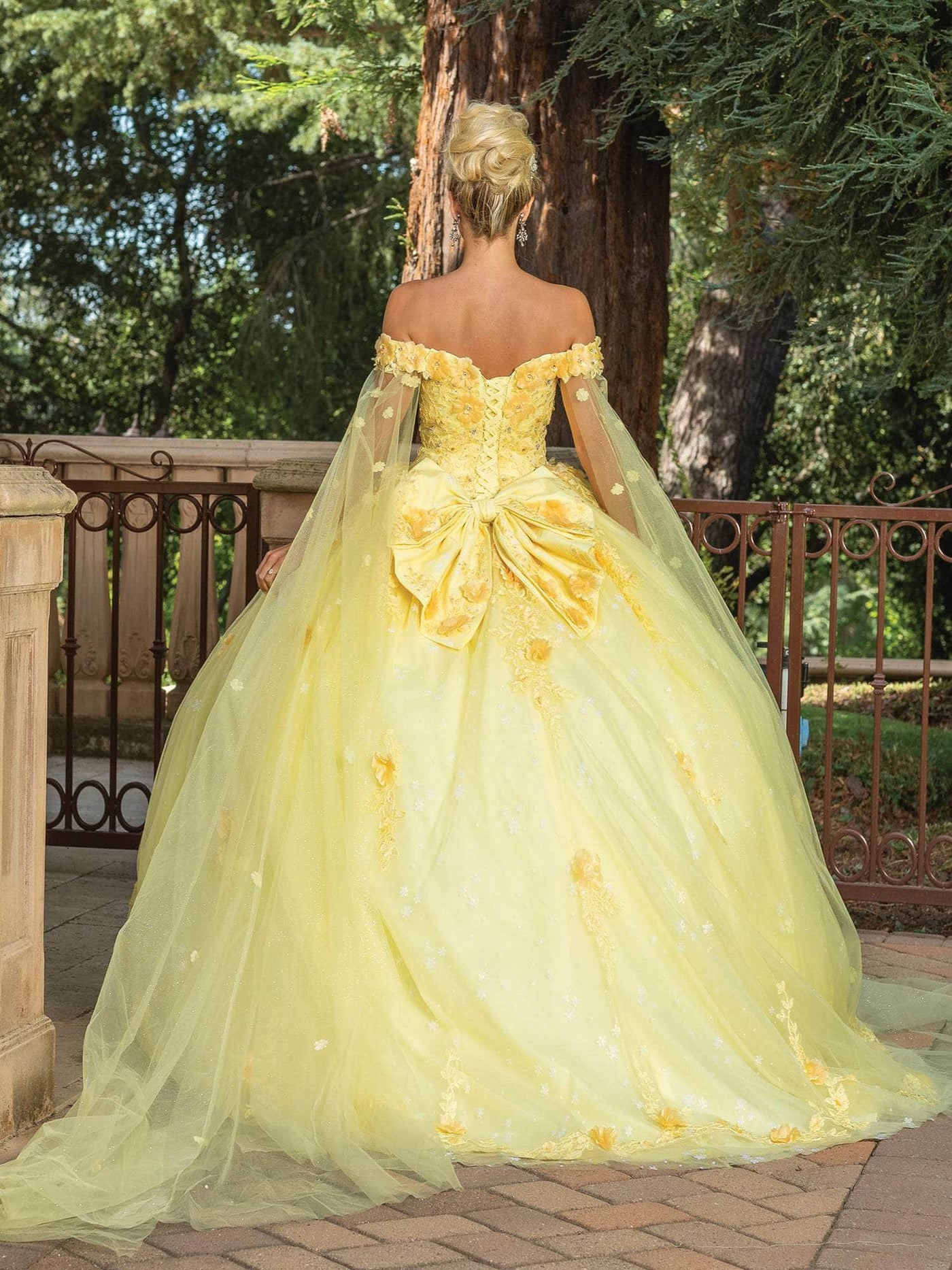 Dancing Queen 1789 - Sheer Cape Sleeve Ballgown Special Occasion Dress