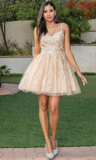 Dancing Queen 3278 - Floral Embroidery A-Line Cocktail Dress Special Occasion Dress XS / Champagne