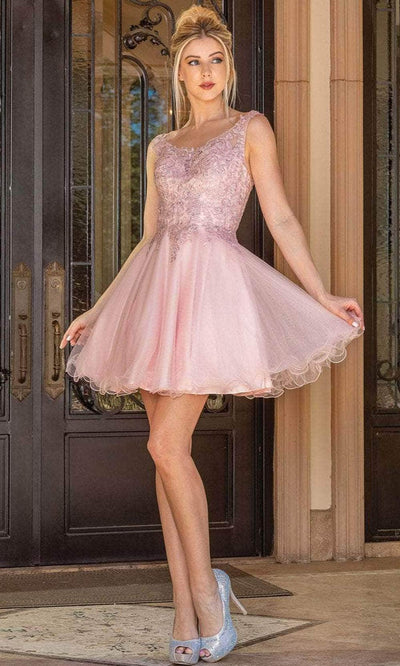 Dancing Queen 3304 - Embroidered Scoop A-Line Cocktail Dress Special Occasion Dress XS / Blush