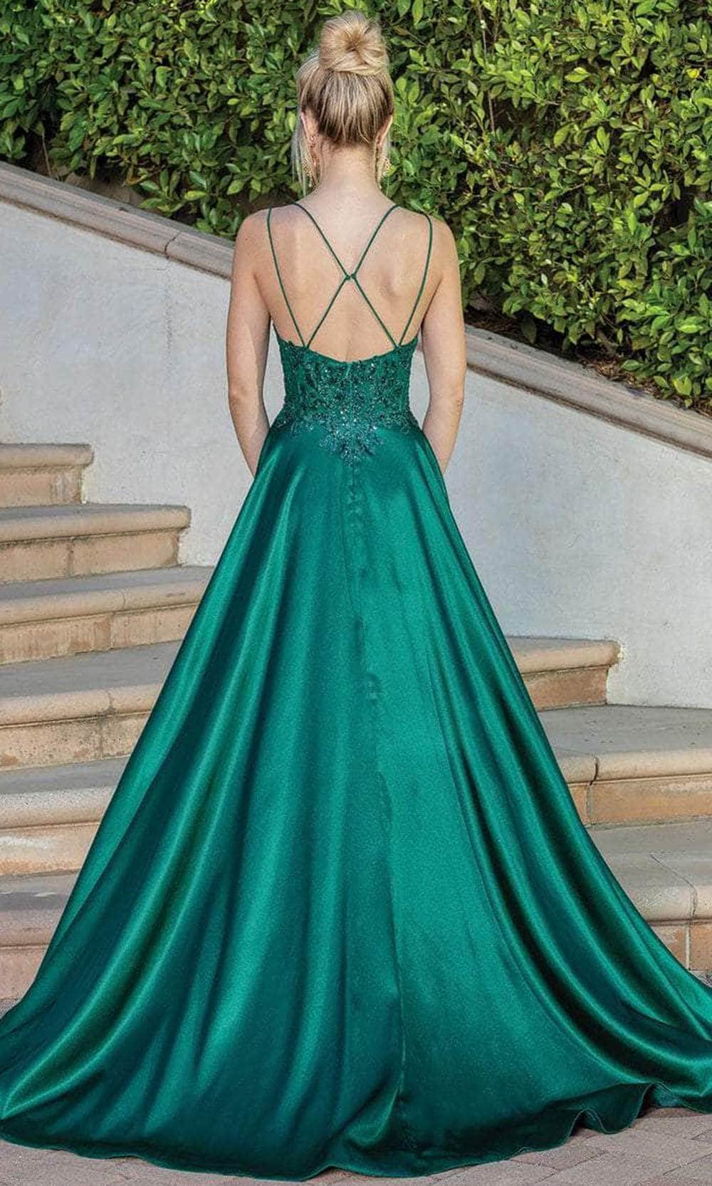 Dancing Queen 4247 - Embroidered Scoop Neck Long Dress Special Occasion Dress