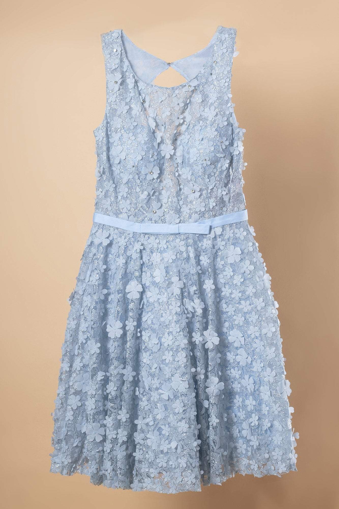 Elizabeth K - GS1604 Dimensional Floral Appliqued Lace Cocktail Dress Special Occasion Dress XS / L/Blue