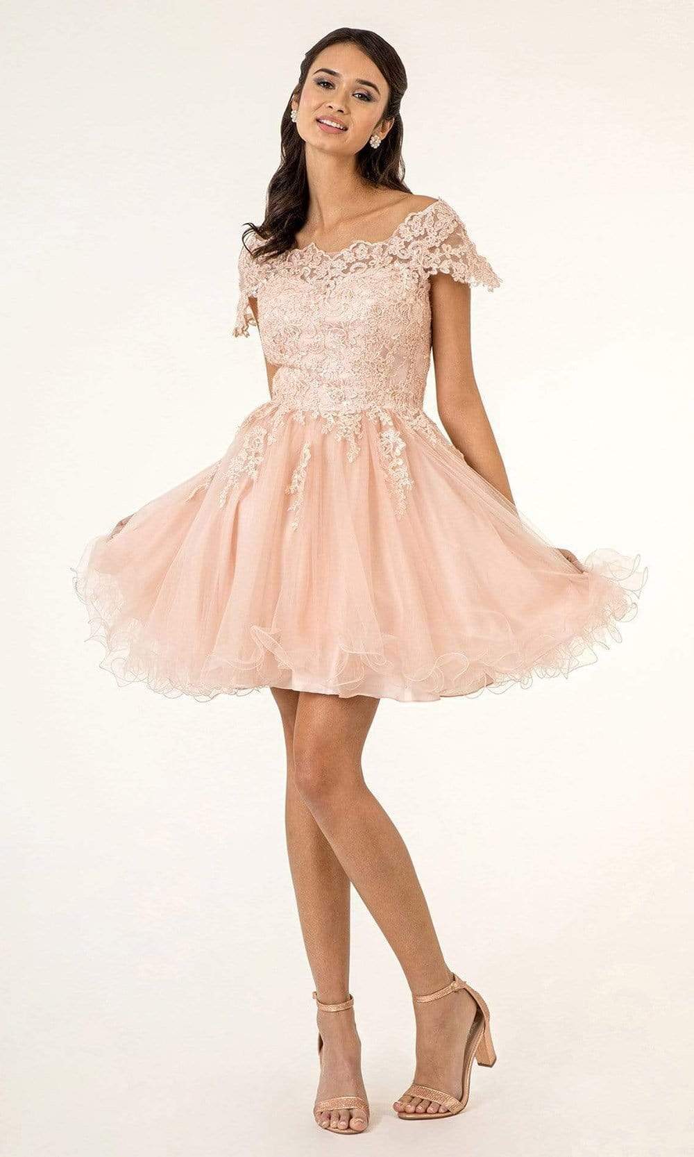 Elizabeth K - GS1953 Lace Embroidered Bodice Fit and Flare Tulle Dress Homecoming Dresses XS / Blush