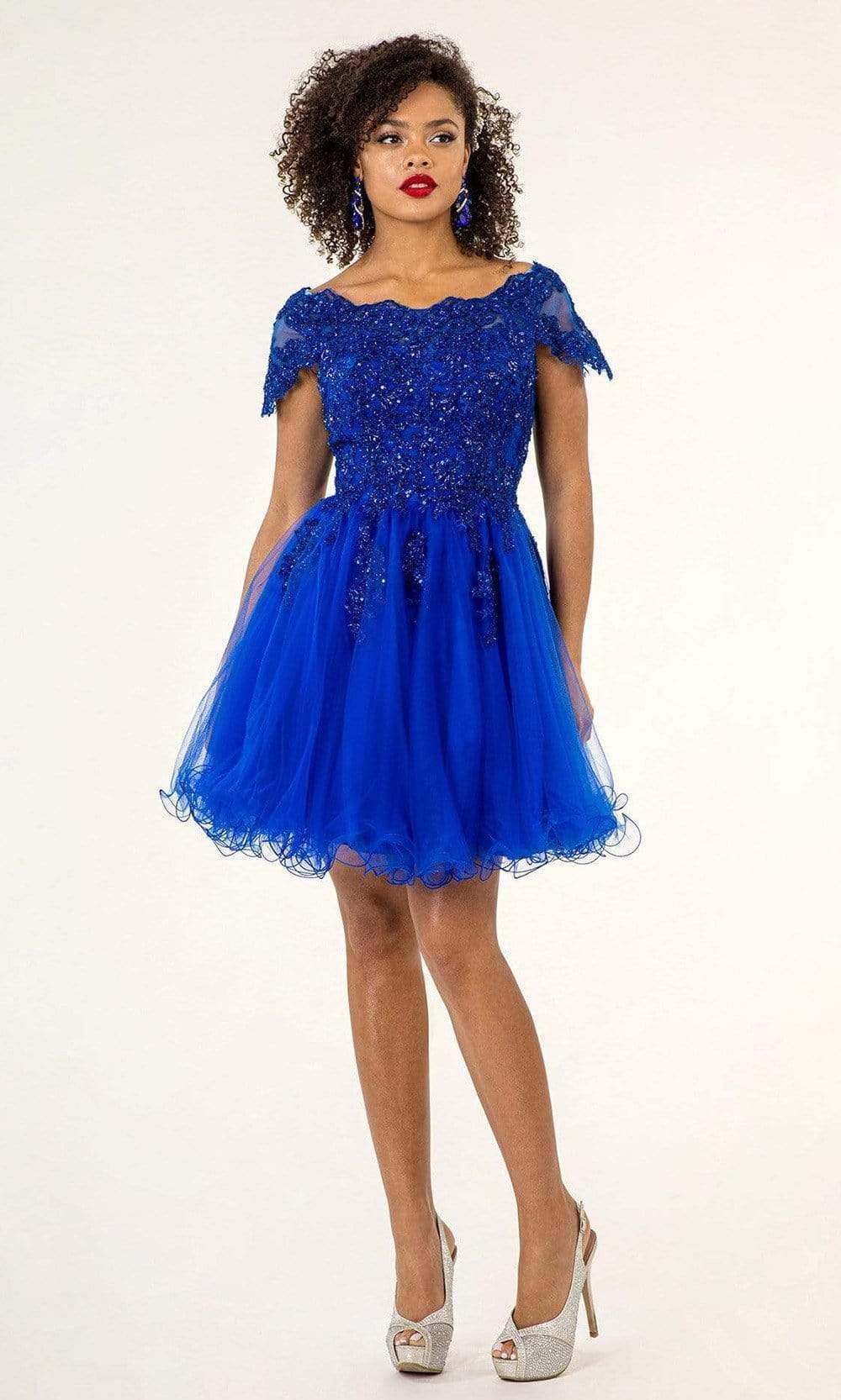 Elizabeth K - GS1953 Lace Embroidered Bodice Fit and Flare Tulle Dress Homecoming Dresses XS / Royal Blue