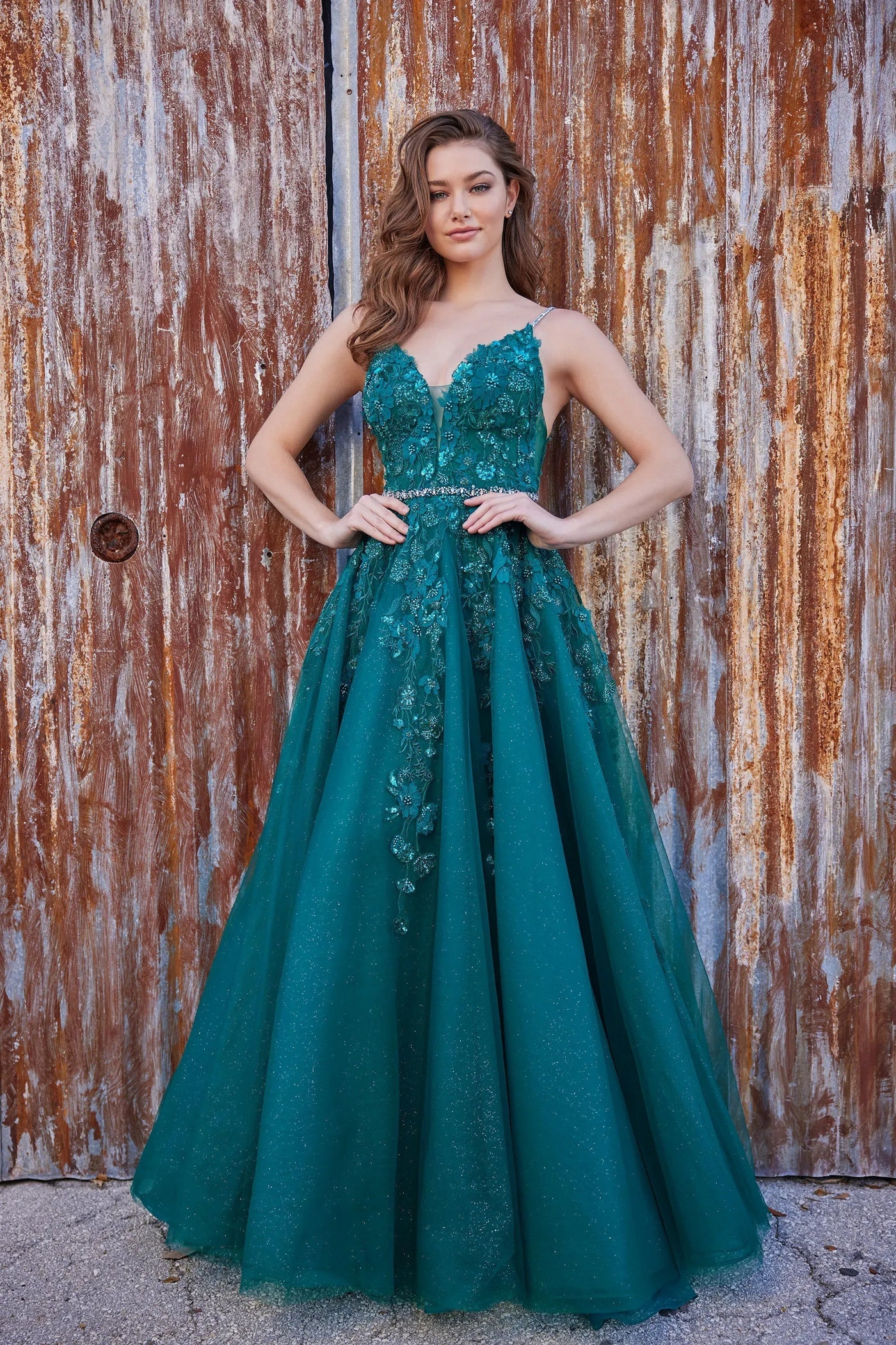 Ellie Wilde EW35113 - Open Back Lace Applique Gown