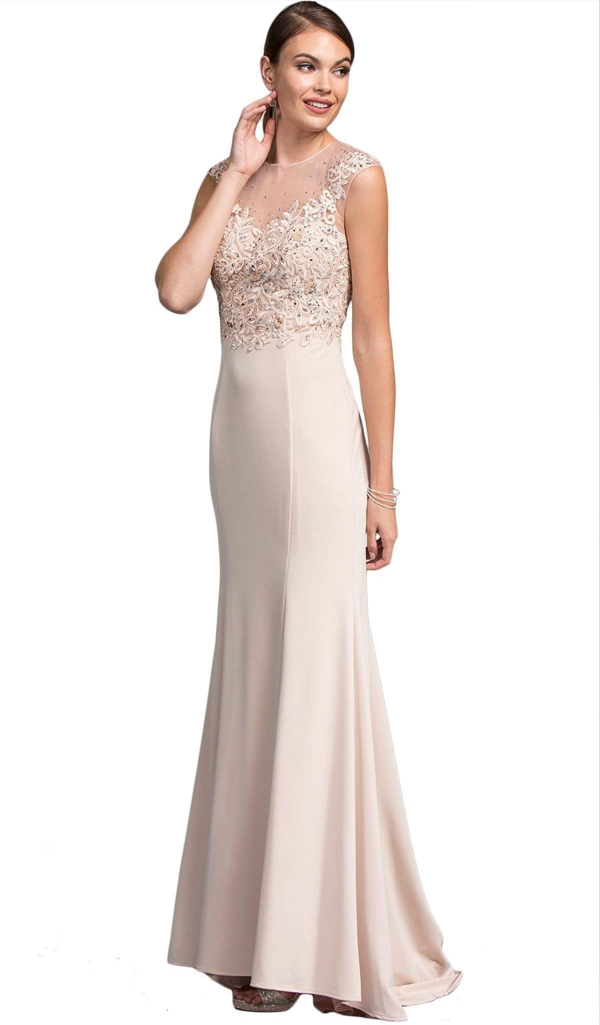 Embroidered Sheath Mother of Bride Dress Dress XXS / Champagne