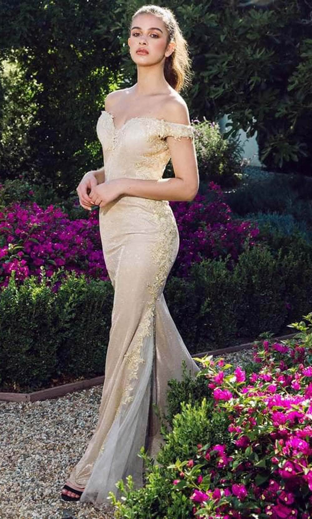 Eureka Fashion 9007 - Off-shoulder Lace Applique Evening Gown Evening Gown XS / Rose/Rose