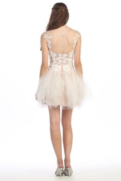 Eureka Fashion Lace Embroidered Mesh A-line Dress 3911 CCSALE S / Ivory