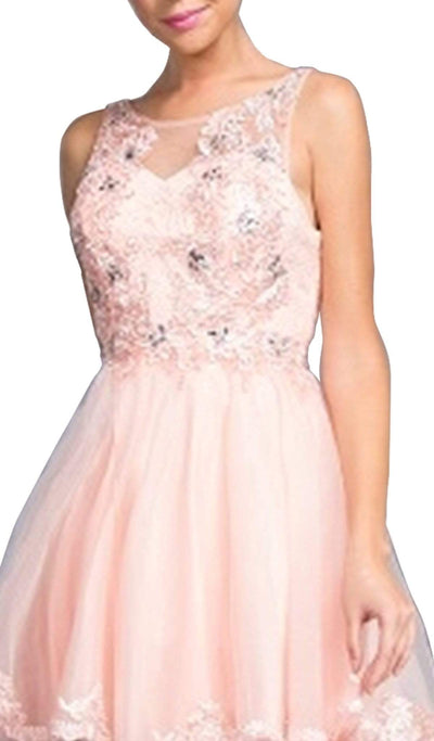 Floral Applique A-line Homecoming Dress Dress