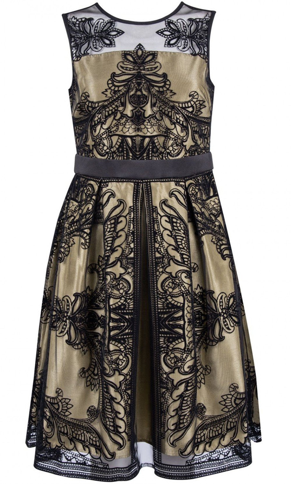Gabby Skye - 18476M Sleeveless Velvet Embroidered A-Line Mesh Dress In Black and Gold