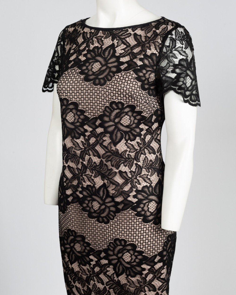 Ivanka Trump - ID8L1JBB Knee Length Short Sleeve Scalloped Lace Dress In Black