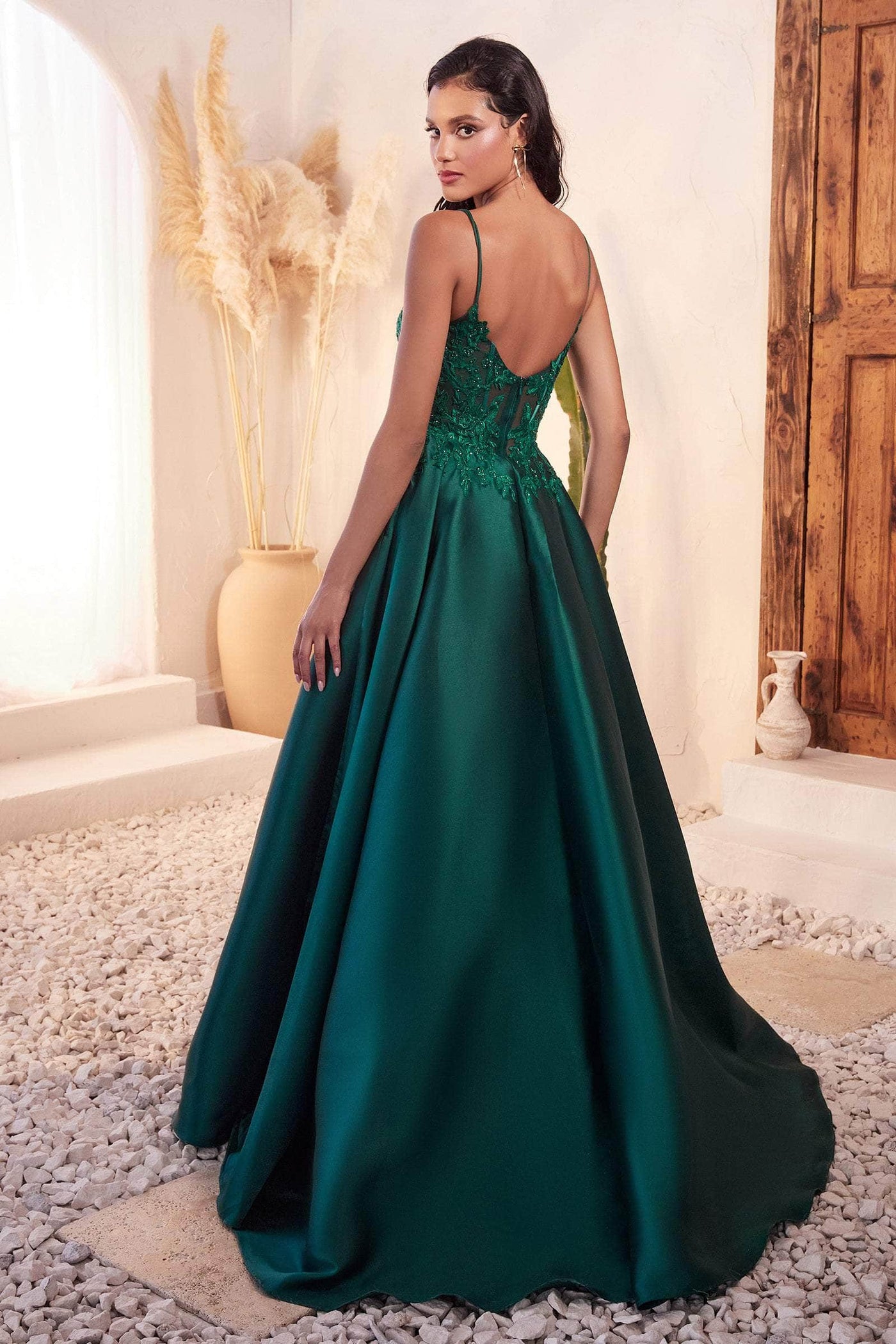 Ladivine C145 - Embroidered Sleeveless Ballgown Special Occasion Dress