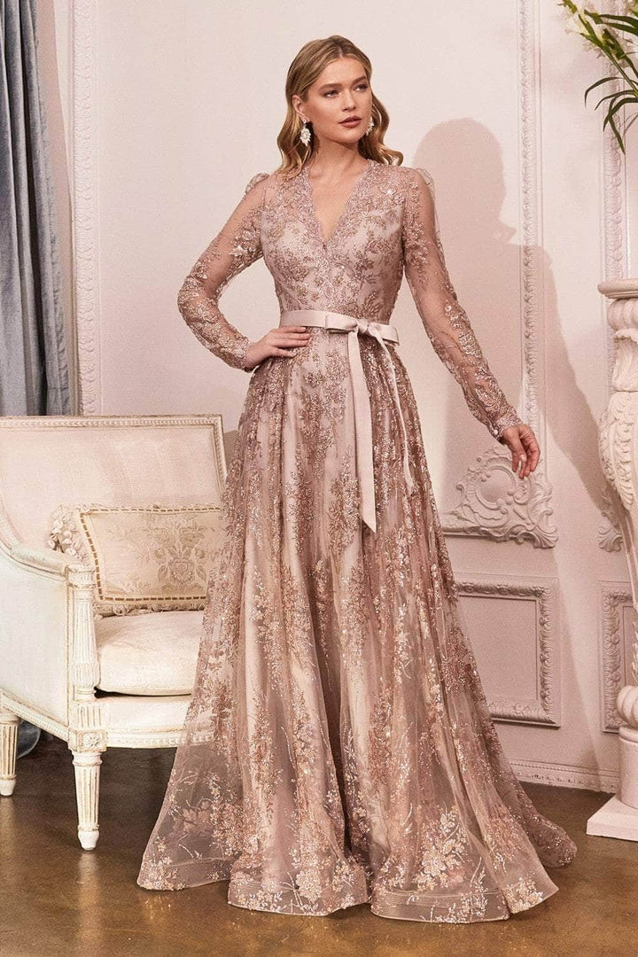 Ladivine - Long Sleeve Gown CD233C In Pink