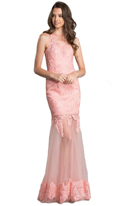 Long Sheath Gown with Sheer Illusion Skirt Dress XXS / Light-Pink