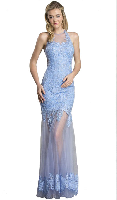 Long Sheath Gown with Sheer Illusion Skirt Dress XXS / Perry Blue