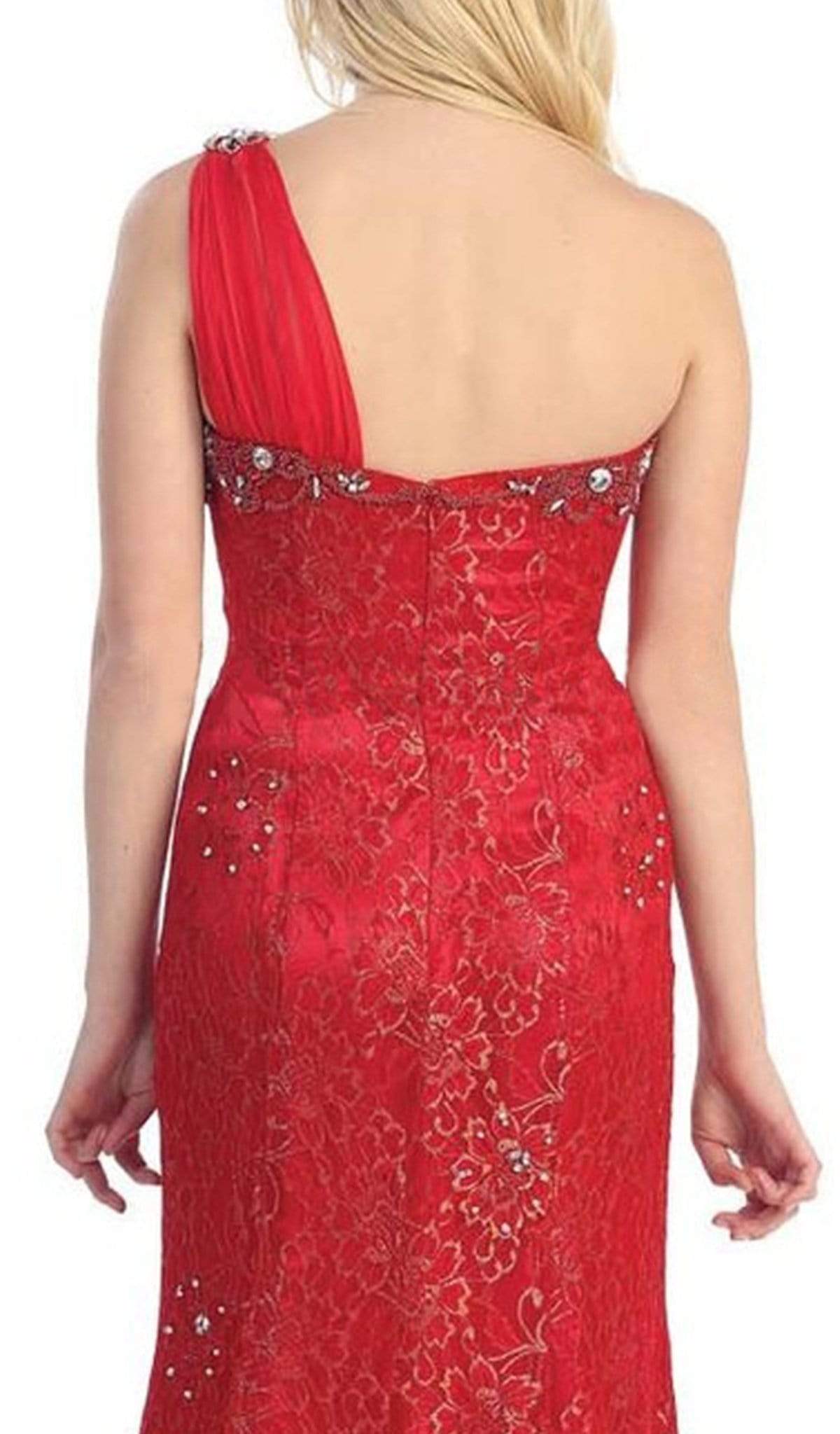May Queen - Chiffon Sashed Floral Lace Evening Dress Special Occasion Dress