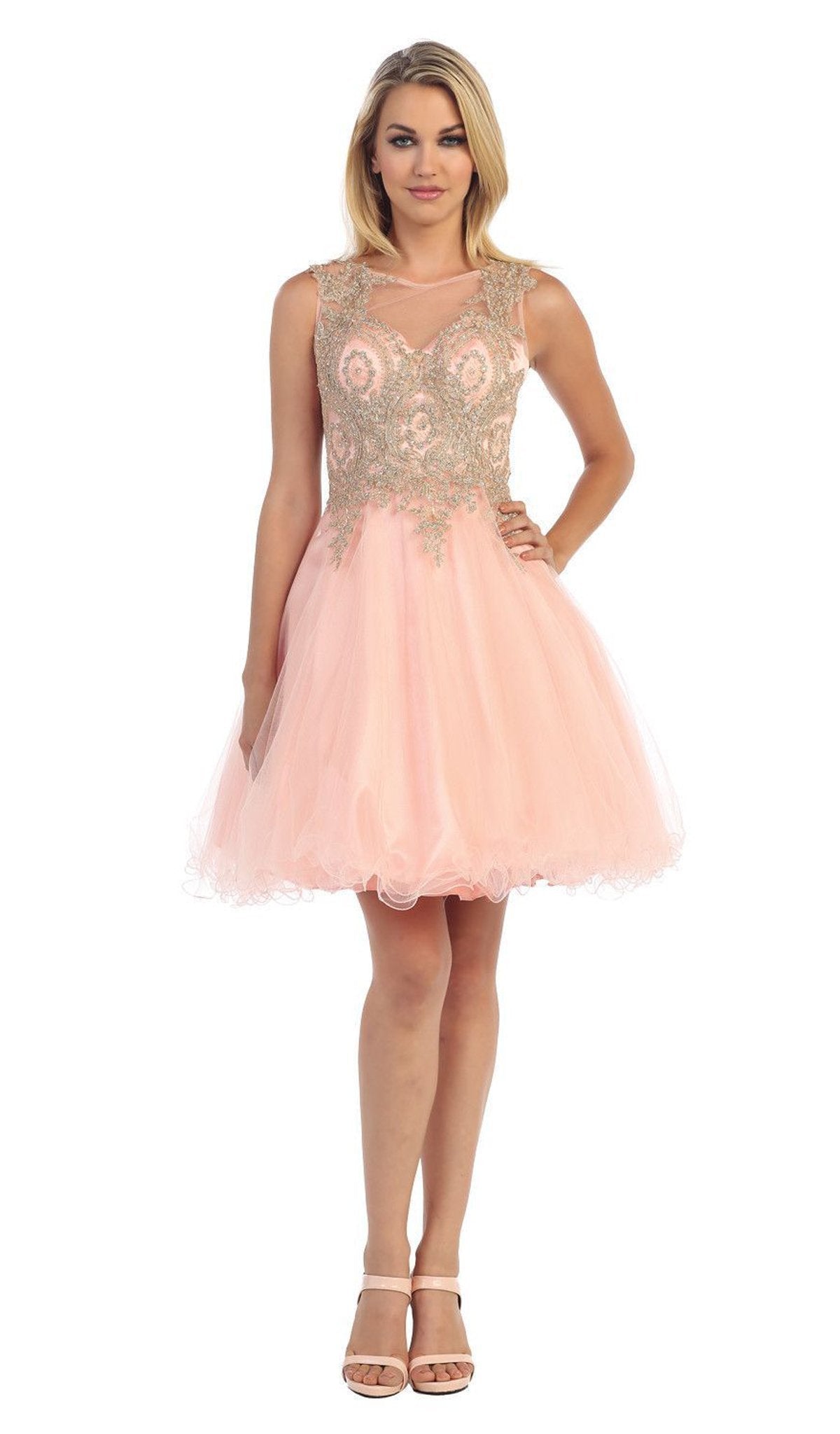 May Queen - Sleeveless Ornate Lace Illusion Cocktail Dress Special Occasion Dress 2 / Blush