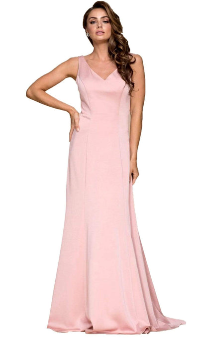 Nox Anabel - Q011 Sleeveless V-neck A-line Dress Special Occasion Dress XS / Rose