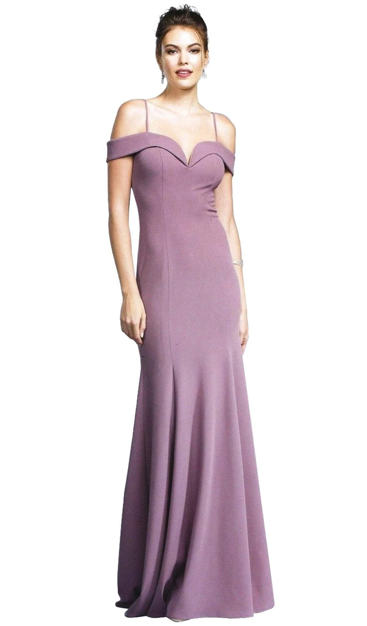Off Shoulder With Spaghetti Straps Evening Dress Prom Dresses XXS / Mauve