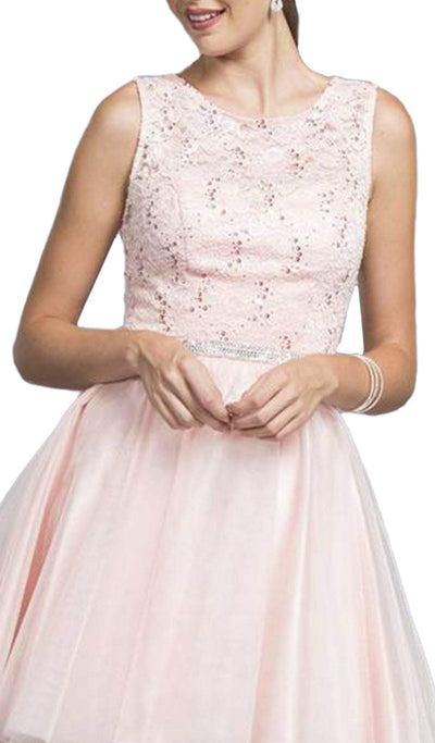 Pink Blush Lace Cocktail Dress Dress
