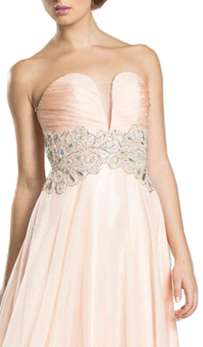 Plunge Sweetheart Neckline Strapless A-Line Prom Dress Dress