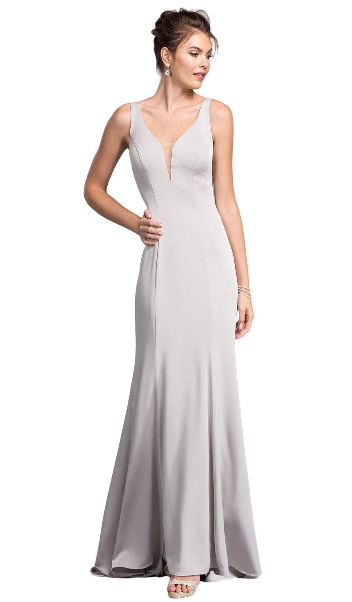 Plunging V-neck Fitted Prom Dress Dress XXS / Silver