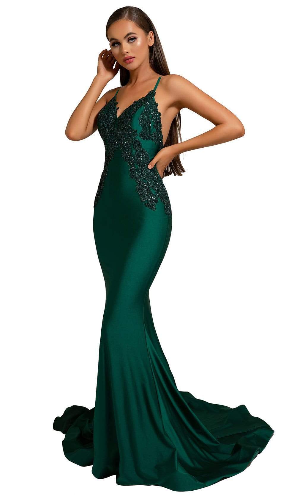 Portia and Scarlett - PS6303 Lace Appliqued Sleeveless Evening Gown Evening Dresses