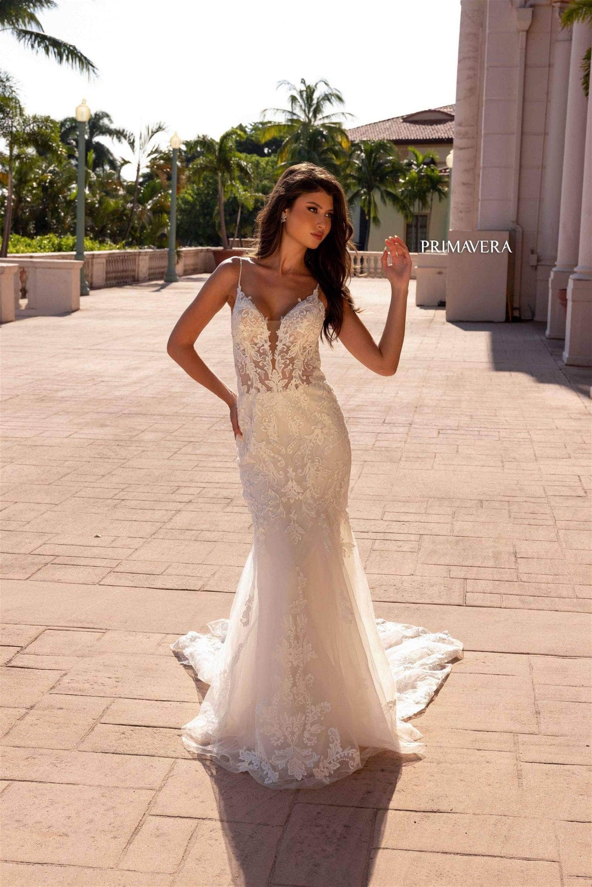 Primavera Bridal 11137 - Sleeveless Open Back Dress Special Occasion Dress